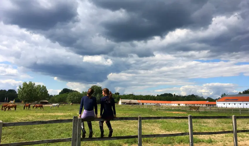 Gerby Kria Hotel s Lovasudvar Lajosmizse - Nyugdjas kedvezmnyes rak (1 jtl)