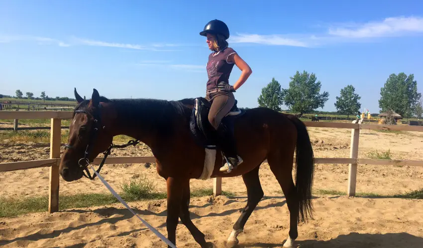 Gerby Kria Hotel s Lovasudvar Lajosmizse - Nyugdjas kedvezmnyes rak (1 jtl)