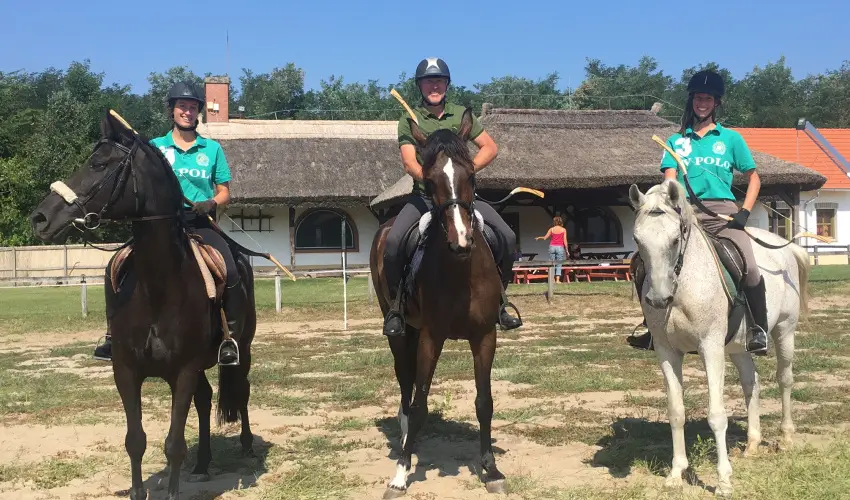 Gerby Kria Hotel s Lovasudvar Lajosmizse - Nyugdjas kedvezmnyes rak (1 jtl)