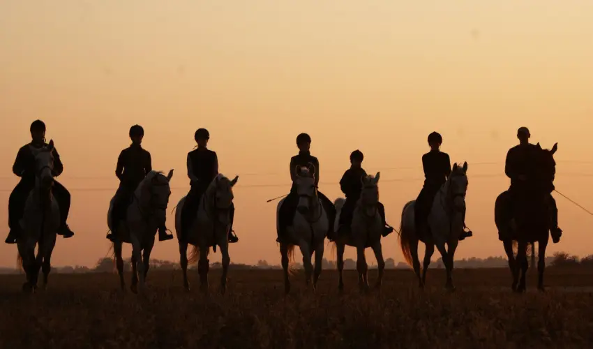 Gerby Kria Hotel s Lovasudvar Lajosmizse - Nyugdjas kedvezmnyes rak (1 jtl)