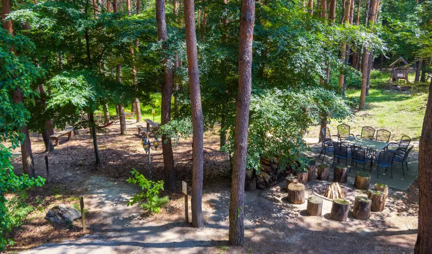 Gosztola Gy�ngye-az erd� sz�llod�ja Gosztola - Idilli nyugd�jas pihen�s extra szolg�ltat�sokkal (min. 2 �j)