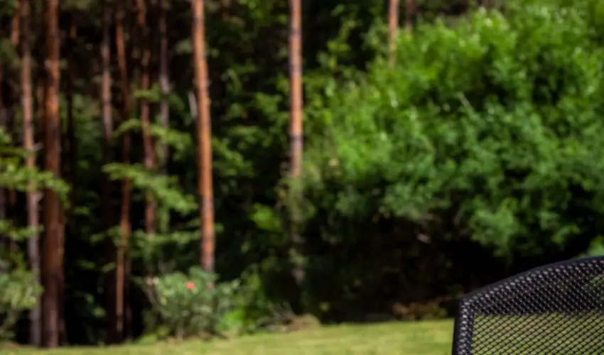 Gosztola Gy�ngye-az erd� sz�llod�ja Gosztola - Idilli nyugd�jas pihen�s extra szolg�ltat�sokkal (min. 2 �j)