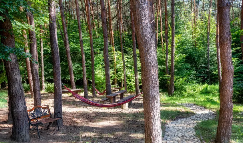 Gosztola Gy�ngye-az erd� sz�llod�ja Gosztola - Idilli nyugd�jas pihen�s extra szolg�ltat�sokkal (min. 2 �j)