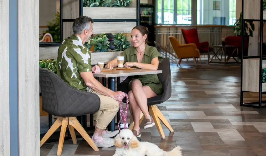 Gotthard Therme Hotel & Conference Szentgotthrd - Senior 55+ ajnlat frdbelpvel (1 jtl)