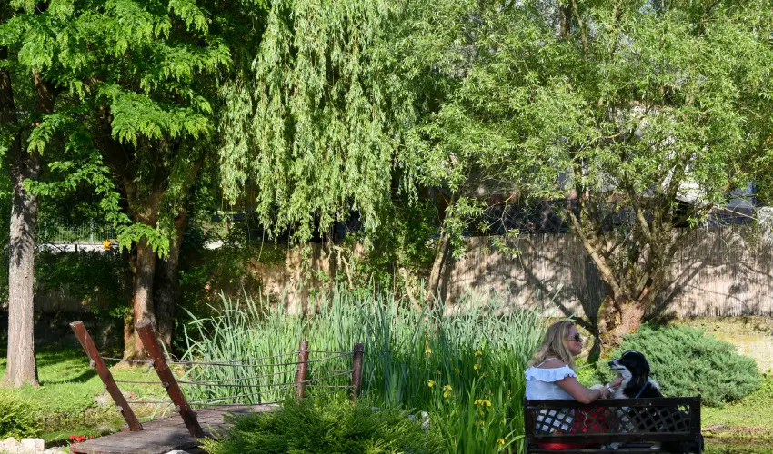 Halhza Vendghz Sirok - Piknik csomagos ajnlat (min. 2 j)