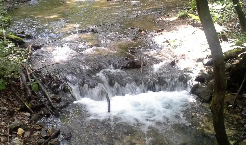 Aliz Villa Szilv�sv�rad - �res� a korai foglal�knak (min. 3 �j)