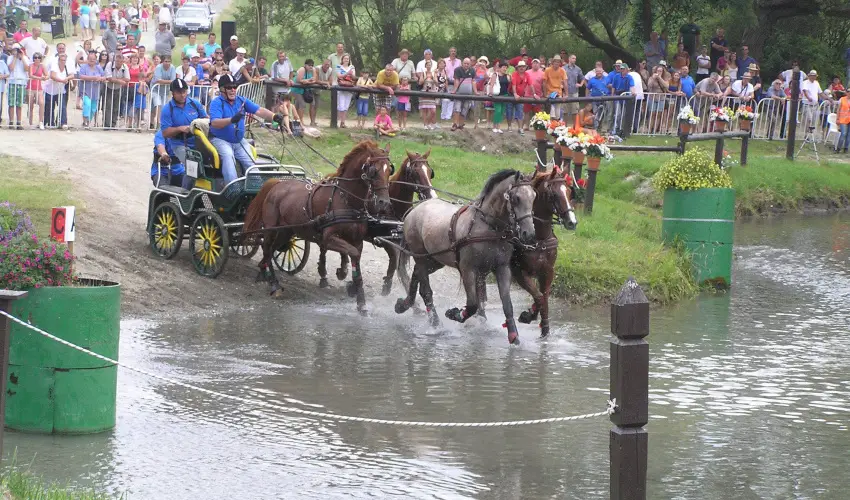 Aliz Villa Szilv�sv�rad - �res� a korai foglal�knak (min. 3 �j)