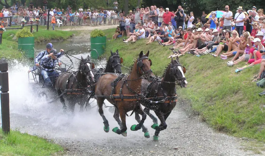 Aliz Villa Szilv�sv�rad - �res� a korai foglal�knak (min. 3 �j)