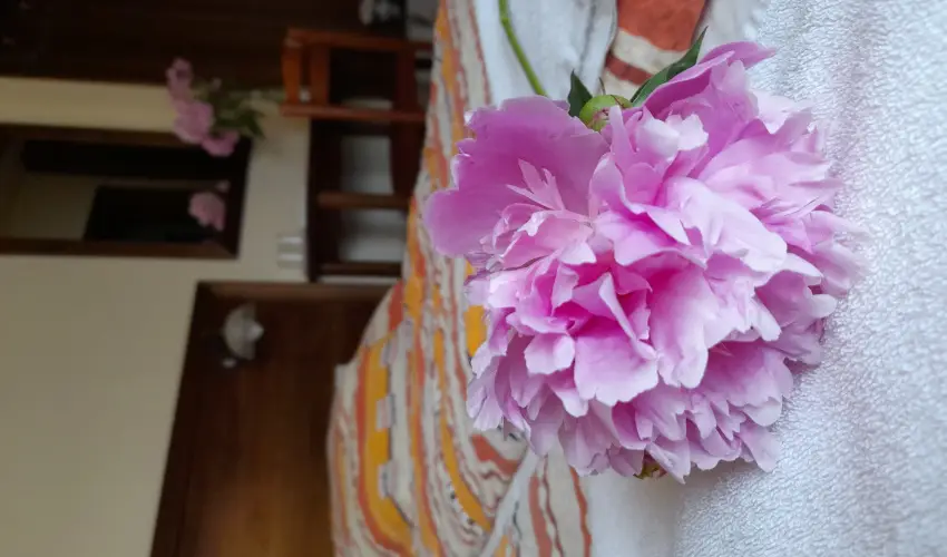 Aliz Villa Szilv�sv�rad - �res� a korai foglal�knak (min. 3 �j)