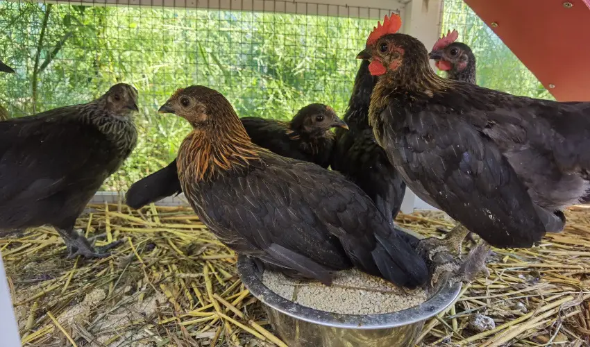 Hel�na Hotel & SPA Lev�l - Nyugd�jas kedvezm�nyes �rak reggelis ell�t�ssal (1 �jt�l)