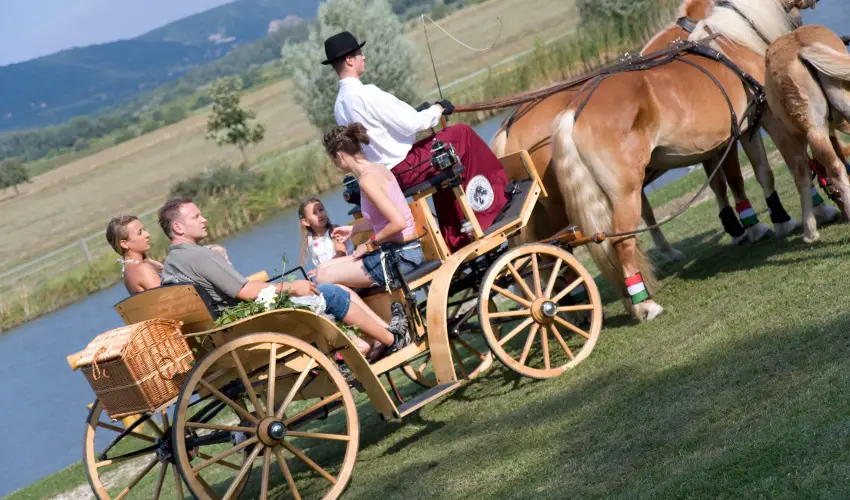 Htkti Wellness Hotel & Lovaspark Mr - Senior napok (min. 2 j)