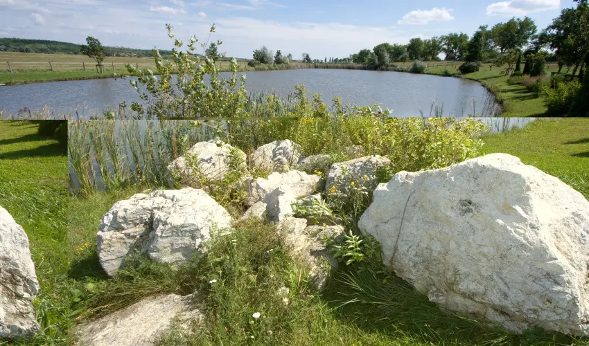 Htkti Wellness Hotel & Lovaspark Mr - Senior napok (min. 2 j)