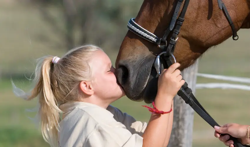 Htkti Wellness Hotel & Lovaspark Mr - Senior napok (min. 2 j)