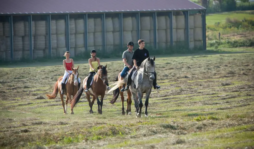 Htkti Wellness Hotel & Lovaspark Mr - Senior napok (min. 2 j)