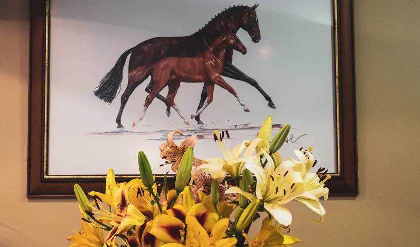 Htkti Wellness Hotel & Lovaspark Mr - Senior napok (min. 2 j)