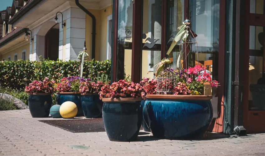 Htkti Wellness Hotel & Lovaspark Mr - Senior napok (min. 2 j)