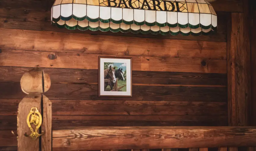 Htkti Wellness Hotel & Lovaspark Mr - Senior napok (min. 2 j)