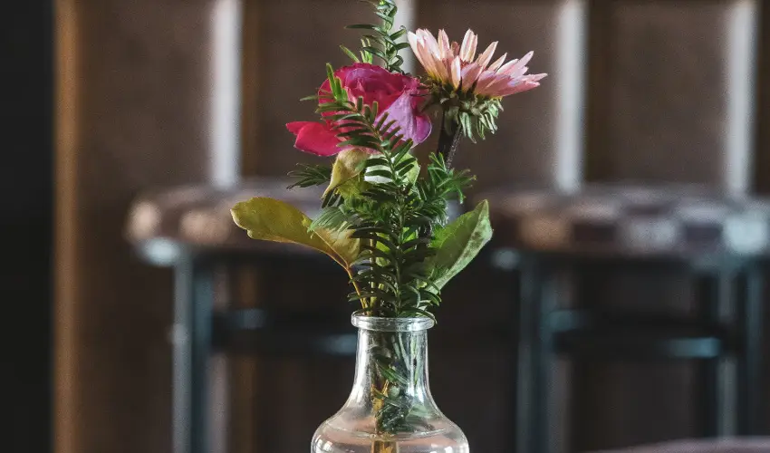 Htkti Wellness Hotel & Lovaspark Mr - Senior napok (min. 2 j)