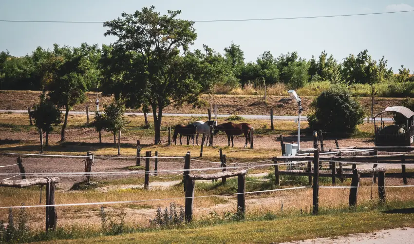 Htkti Wellness Hotel & Lovaspark Mr - Senior napok (min. 2 j)