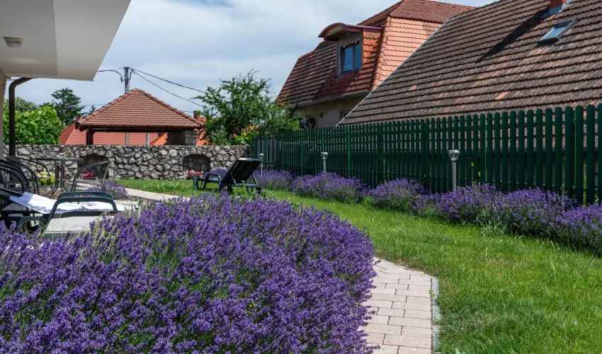 Holiday Club Apartman Hotel H�v�z H�v�z - Nyugd�jas kedvezm�nyes �r (1 �jt�l)