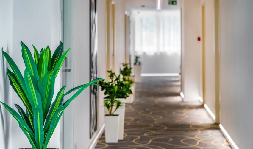 Holiday Resorts Balatonszrsz - Kedvezmnyes ajnlat (min. 2 j)