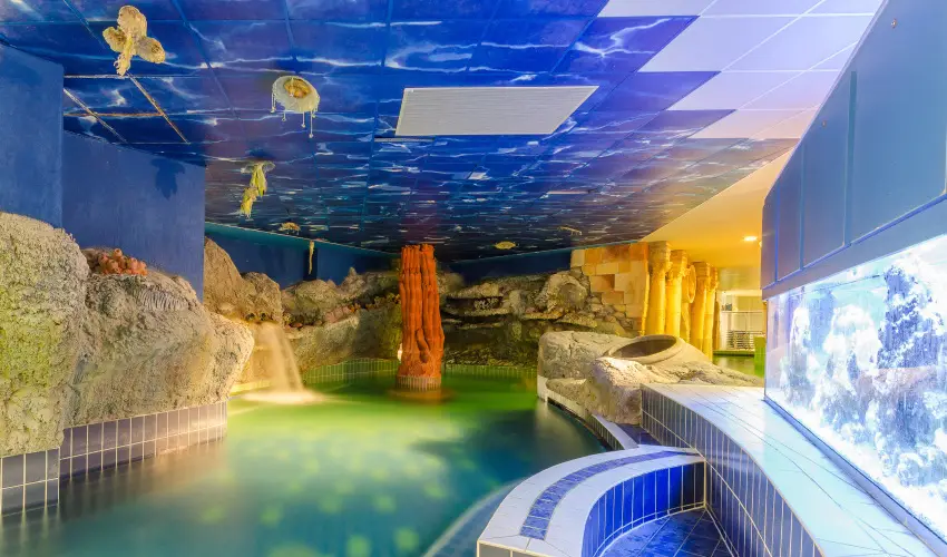 Hunguest Hotel Aqua-Sol Hajdúszoboszló - Évindító Szállásvadászat Hajdúszoboszlón (min. 2 éj)