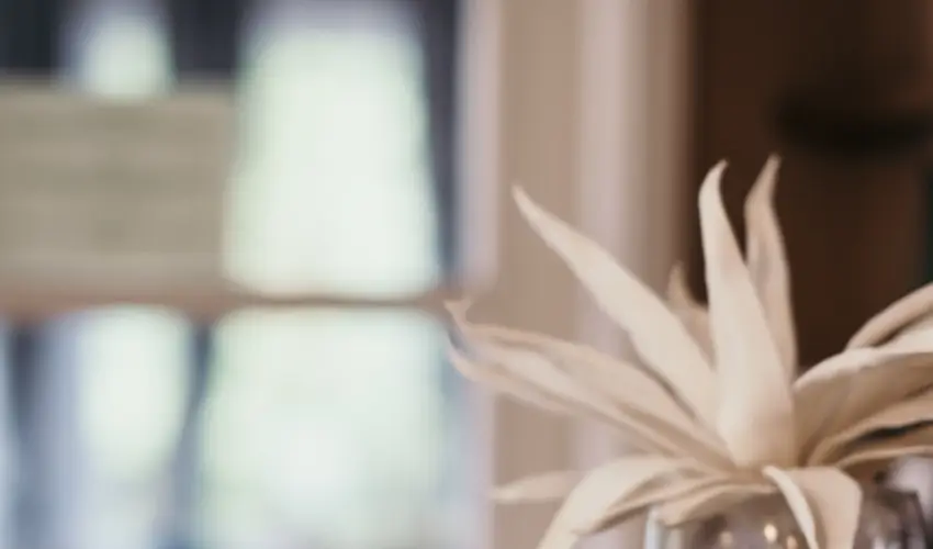 Hotel Arbortum Harkny - Nyugdjas kedvezmnyes rak reggelis elltssal (1 jtl)