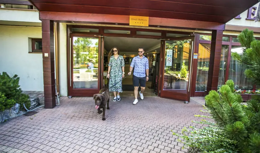 Hotel Bassiana Srvr - Kedvezmnyes ajnlat flpanzis elltssal (min. 2 j)