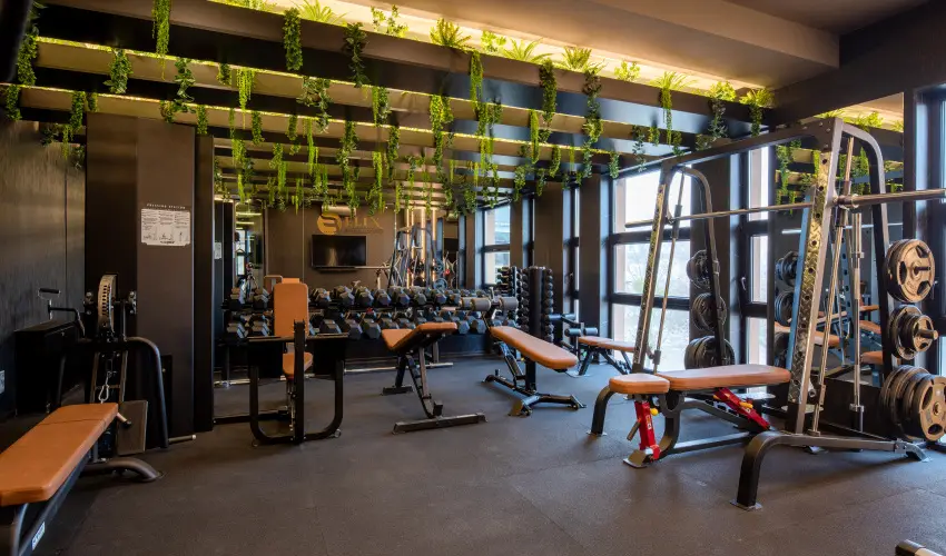 Hotel Bodrog Wellness & Elix Spa S�rospatak - Standard �r reggelivel (1 �jt�l)