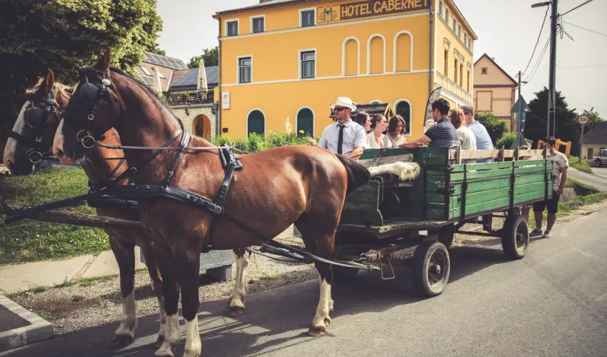 Hotel Cabernet Villnykvesd - Nyugdjas kedvezmnyes rak reggelis elltssal (1 jtl)
