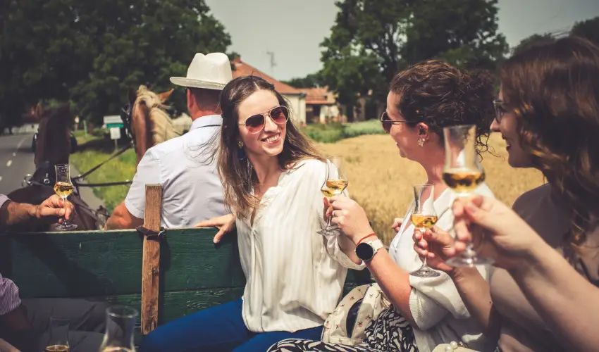 Hotel Cabernet Villnykvesd - Nyugdjas kedvezmnyes rak reggelis elltssal (1 jtl)