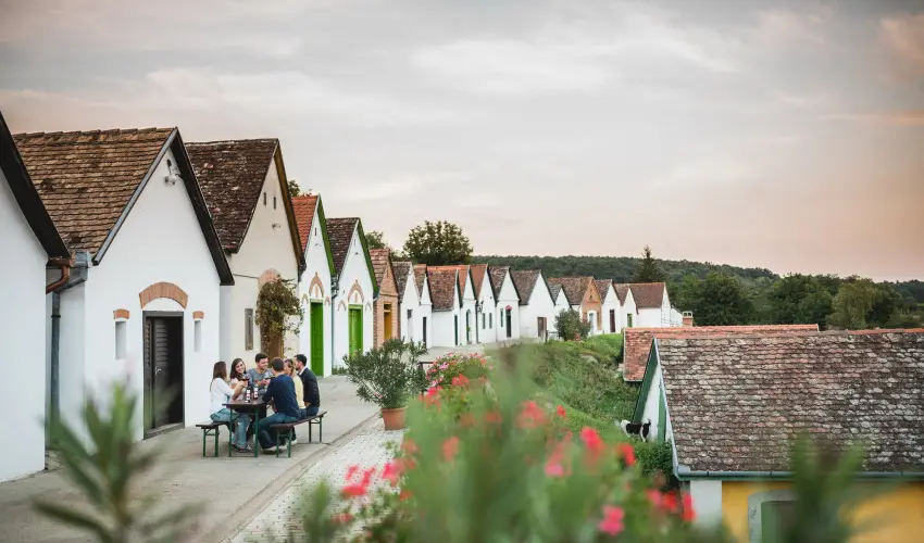 Hotel Cabernet Villnykvesd - Nyugdjas kedvezmnyes rak reggelis elltssal (1 jtl)
