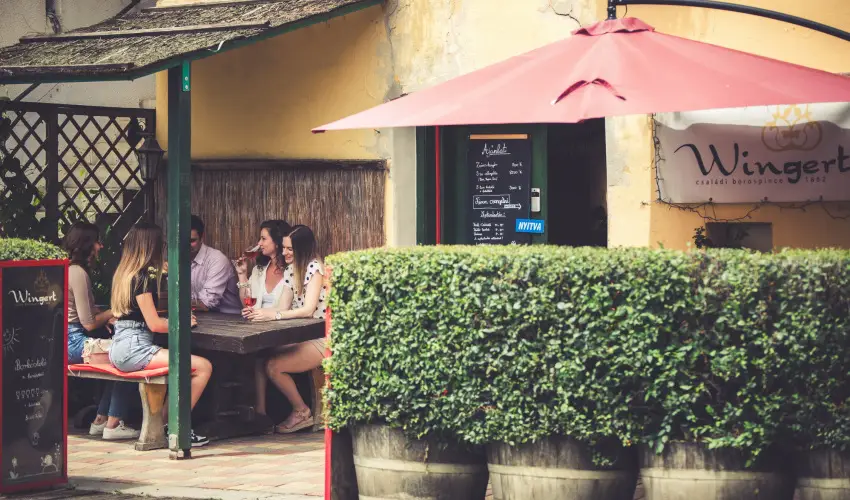 Hotel Cabernet Villnykvesd - Nyugdjas kedvezmnyes rak reggelis elltssal (1 jtl)