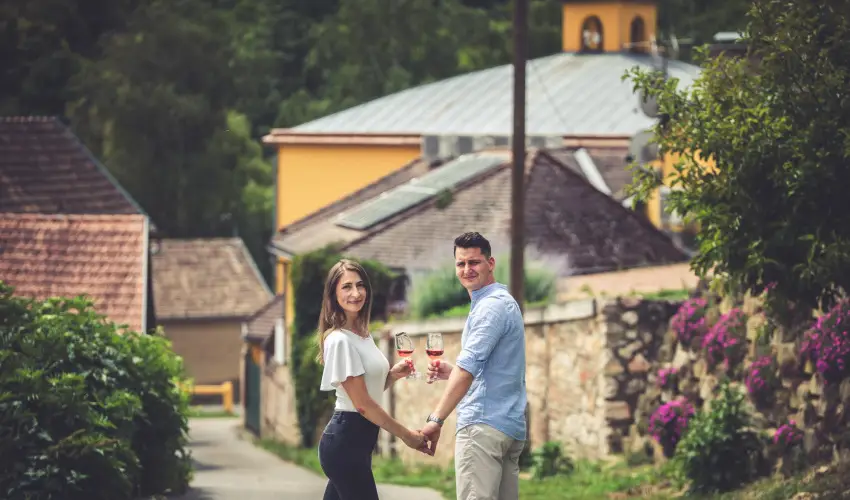 Hotel Cabernet Villnykvesd - Nyugdjas kedvezmnyes rak reggelis elltssal (1 jtl)