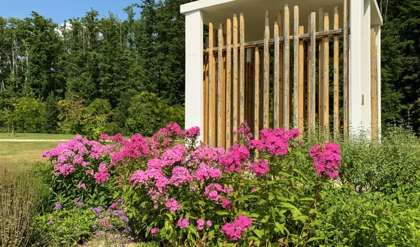 Hunguest Hotel Freya Zalakaros - Senior ajnlat frdbelpvel (min. 3 j)