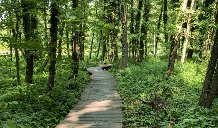 Hunguest Hotel Freya Zalakaros - Senior ajnlat frdbelpvel (min. 3 j)