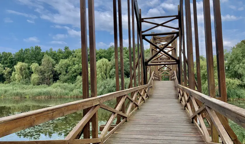 Hunguest Hotel Freya Zalakaros - Senior ajnlat frdbelpvel (min. 3 j)