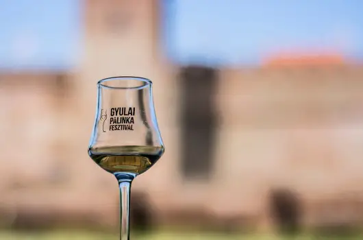 H�forr�s Hotel �s �d�l�park, Gyula