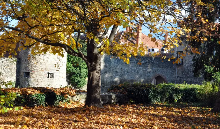 Hotel rottk Kszeg - Senior Pihens az Alpok lbnl, Kszegen - 60 v felettieknek (min. 3 j)