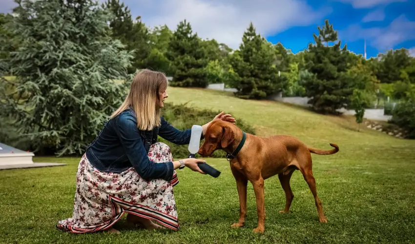 Sndor Hotel Pcs - Nyugdjas kedvezmnyes r reggelivel (1 jtl)