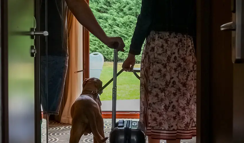 Sndor Hotel Pcs - Nyugdjas kedvezmnyes r reggelivel (1 jtl)