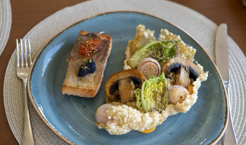 Hotel Nard Mtraszentimre - vindt Szllsvadszat Mtraszentimrn (1 jtl)