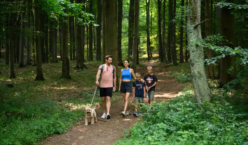 Hotel Nard Mtraszentimre - vindt Szllsvadszat Mtraszentimrn (1 jtl)