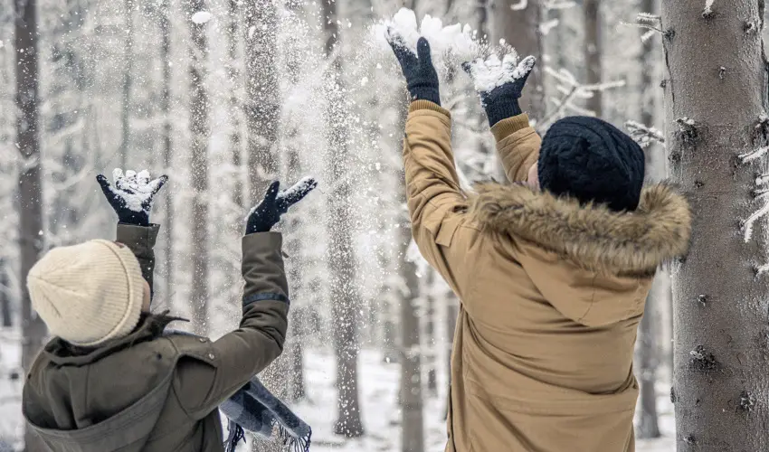 Hotel Nard Mtraszentimre - vindt Szllsvadszat Mtraszentimrn (1 jtl)