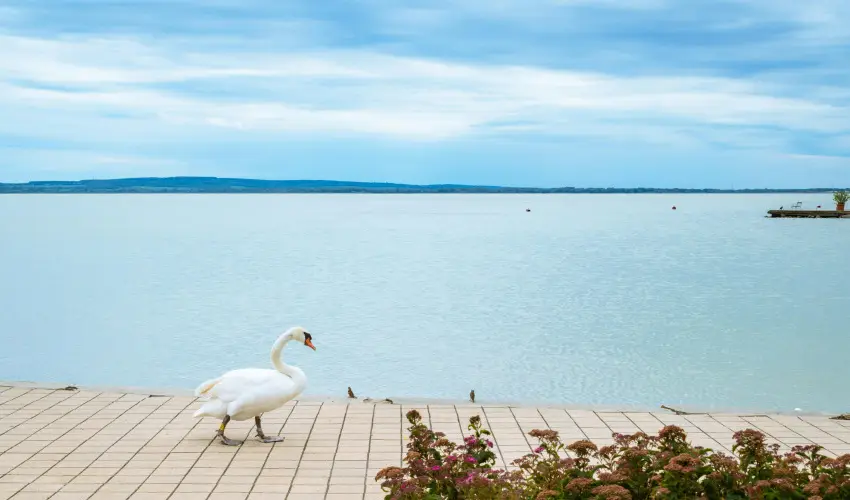 Hotel Ovit Keszthely - Tli feltltds (1 jtl)