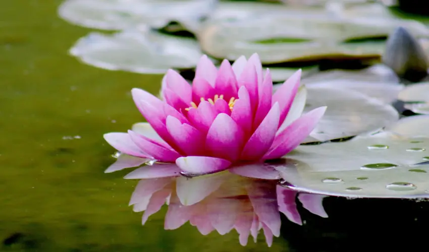 Hotel Ovit Keszthely - Tli feltltds (1 jtl)