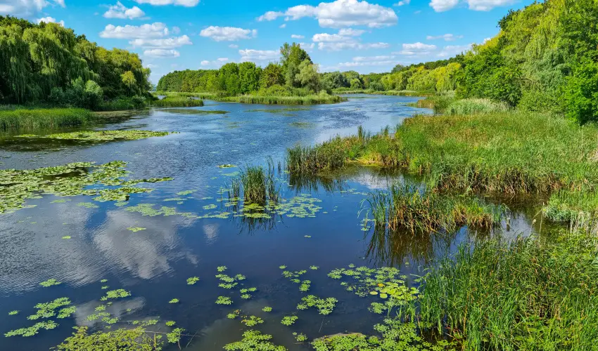 Hotel Ovit Keszthely - Tli feltltds (1 jtl)
