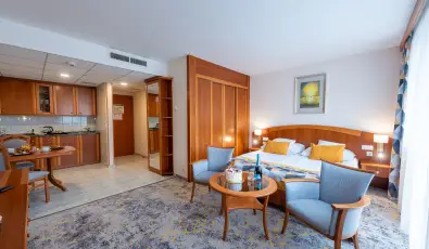 Palace Hotel  H�v�z