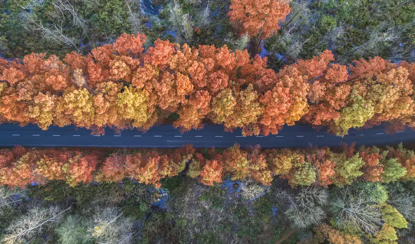 Hunguest Hotel Panorma Hvz - Senior ajnlat Hvzen (min. 2 j)