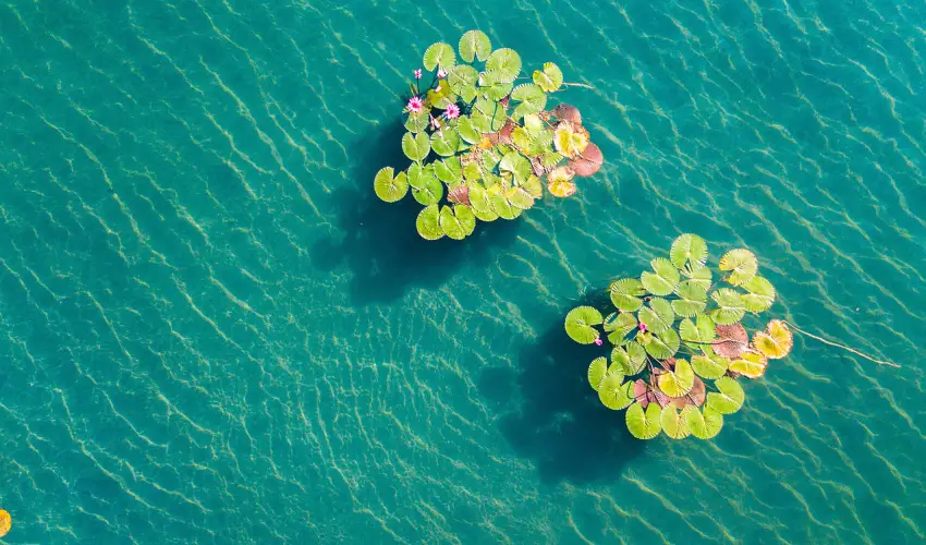 Hunguest Hotel Panorma Hvz - Senior ajnlat Hvzen (min. 2 j)